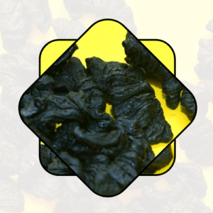 kudampuli