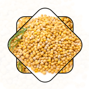 yellow mustard